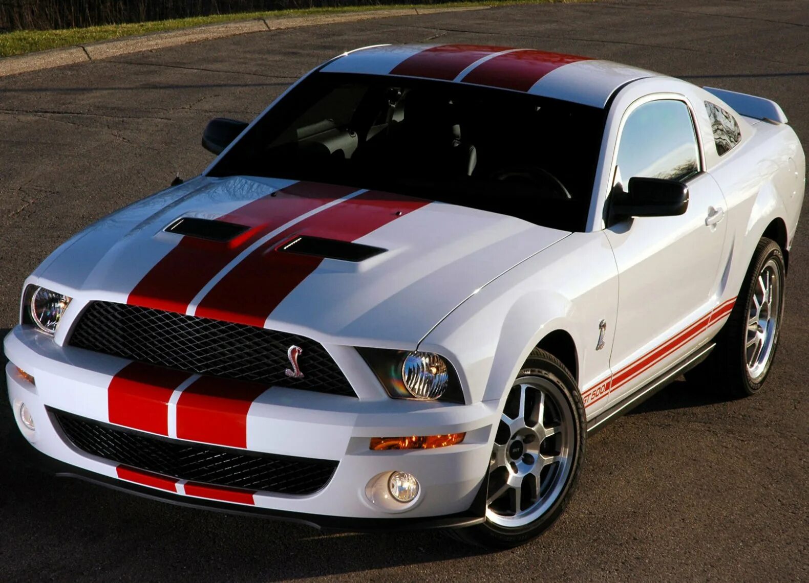 Mustang shelby gt. Форд Мустанг gt 500 Shelby. Ford Shelby gt500. Mustang Shelby gt500. Ford Mustang gt500.