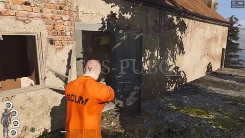 Scum читы