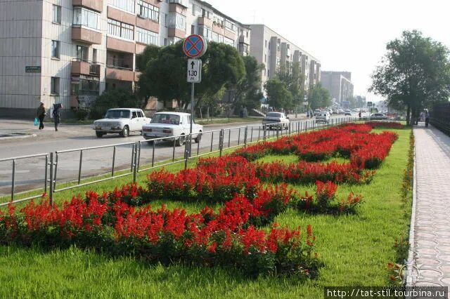 Южноуральск Челябинская область. Южноуральск площадь города. Южноуральск город лето. Цветочный южноуральск