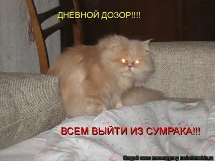 Выйти из сумрака
