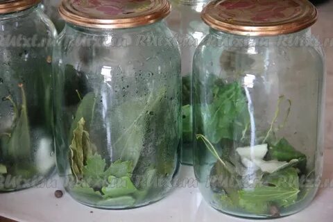 Маринуем огурцы без укропа и хрена
