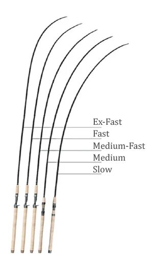 Media fast. Строй Медиум у спиннинга. Medium fast Строй спиннинга. Строй спиннинговых удилищ Медиум. Строй удилища спиннинг регуляр фаст.