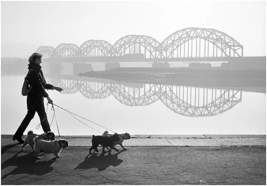 исторический косплей. смотровая площадка променад самуэль. совершить променад. совершить променад. променад картина.