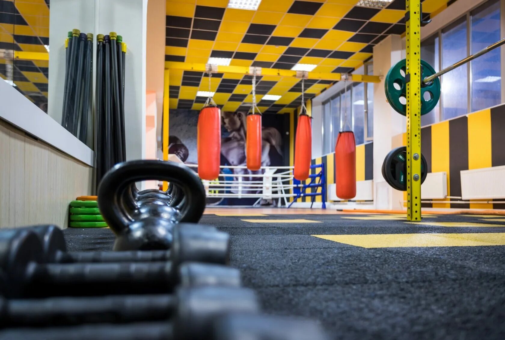 Bionika фитнес клуб золоторожский вал. Коперник терраспорт фитнес. Фитнес клуб зебра калужская. Зебра профсоюзная 76. Клуб зебра калужская.