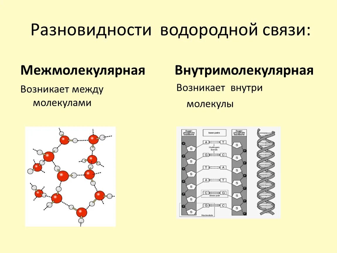 Межмолекулярные водородные связи. Виды водородной связи. Водородная химическая связь. Внутримолекулярная водородная связь. Виды химической связи водородная связь