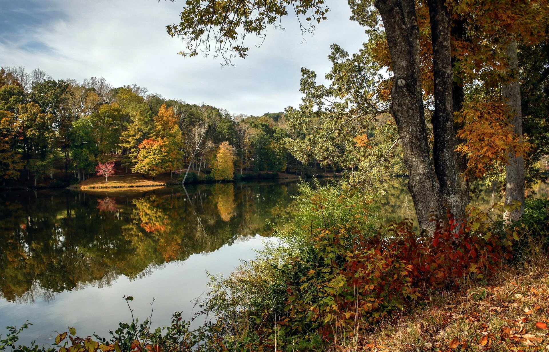 Река в осеннем лесу. Николина гора река осень. Осень река лес озеро. Золотая осень река Ишим. Осень озеро.