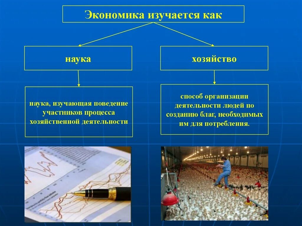 Как развивается экономическая наука. Экономика как наука. Экономика наука и хозяйство. Экономика и экономическая наука. Что изучает экономическая наука.