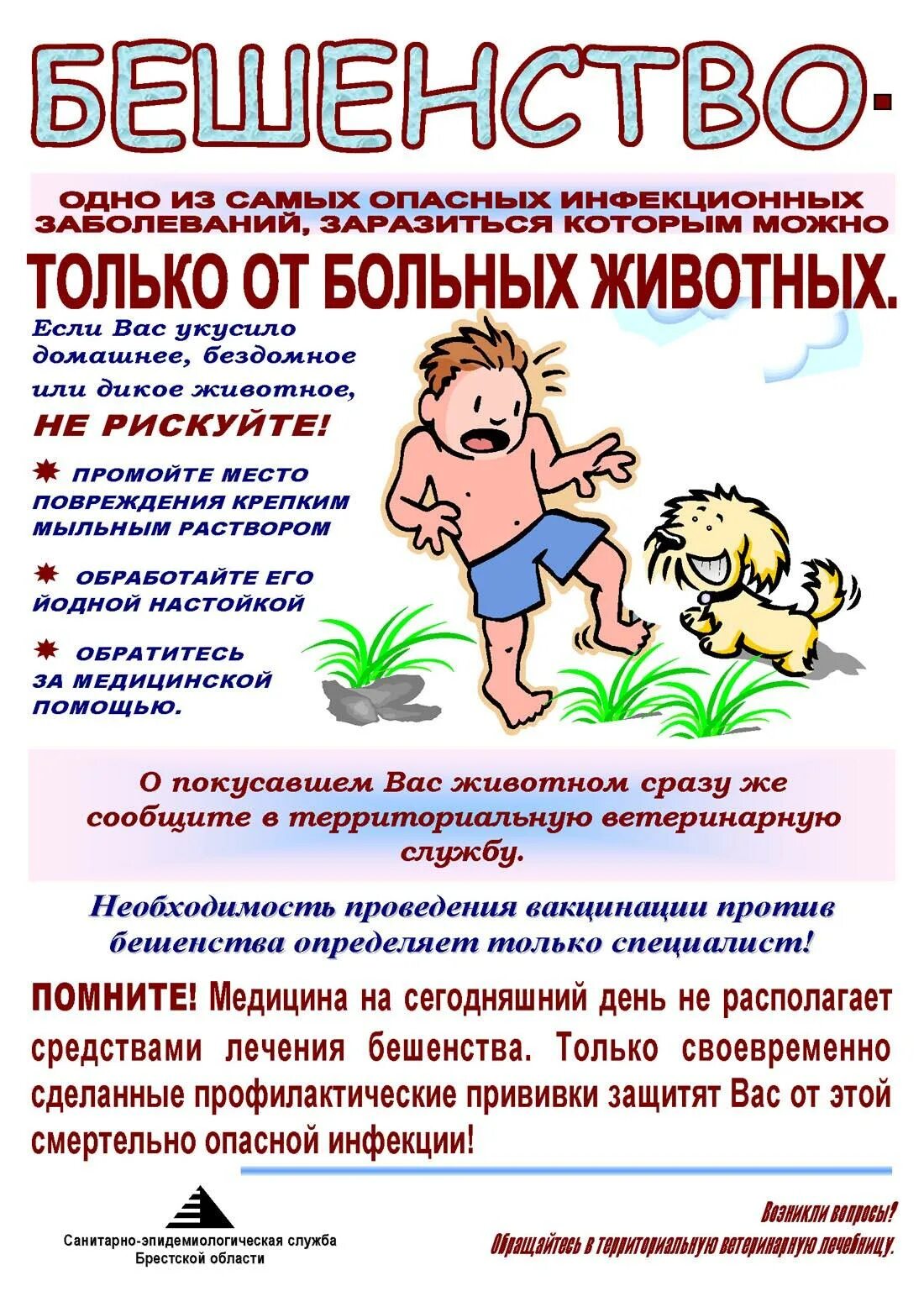 Профилактика бешенства. Бешенство памятка. памятка по бешенству. памятка по профилактике бешенства.