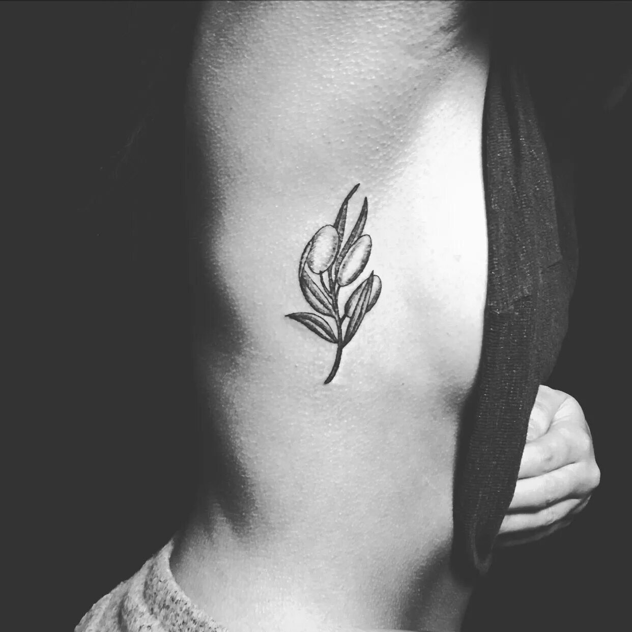 Ветка оливы тату. Тату веточка. Красивые веточки тату. Тату на ключице. Тату ветка.