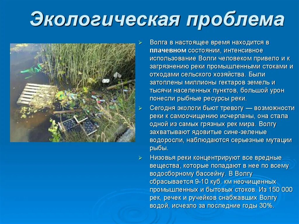 Описать экологические проблемы. Экологические проблемы реки волна. экологические проблемы волги. экологические проблемы реки волга. экологическое состояние волги.