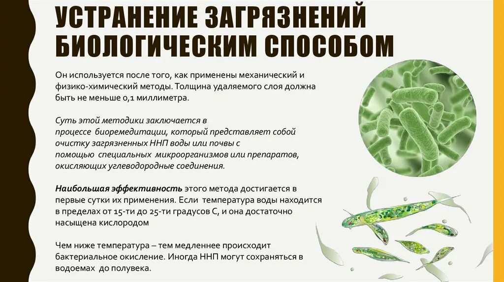 Как происходит очистка в биофильтрах. Удаляемые загрязнители биологического фильтра. очистка от биологических загрязнений. биологические загрязнения и болезни человека.