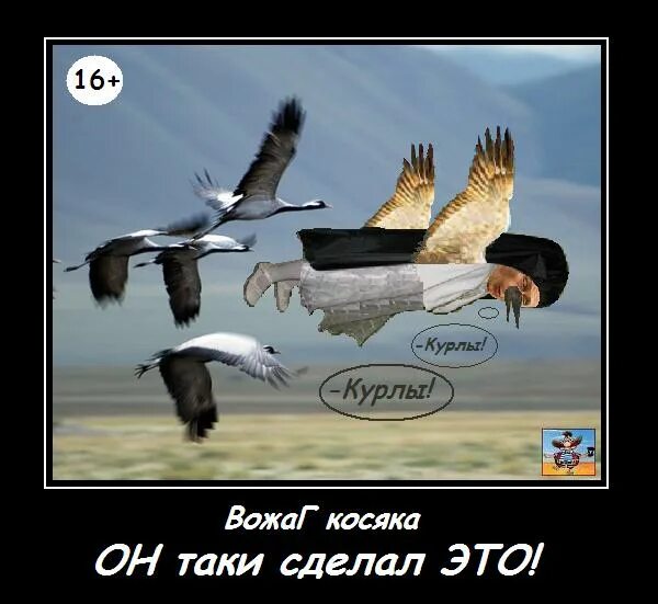 курлы курлы картинка. курлы мурлы. курлы курлы. курлы мурлы. голубь с надписью.