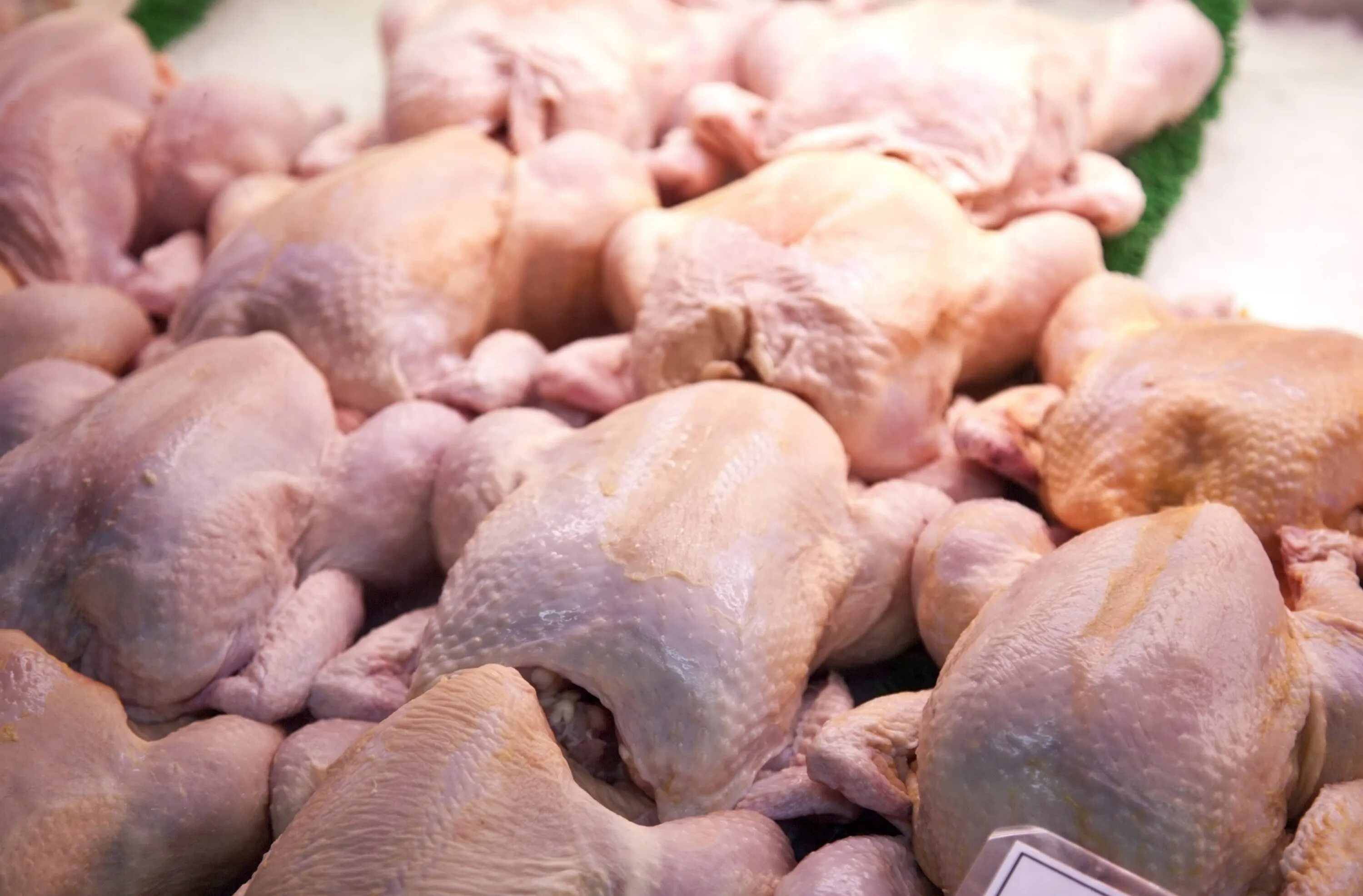 Мясо птицы качество. Мясо птицы. Замороженная курица. Мясо домашней птицы. Курица замороженная фото.
