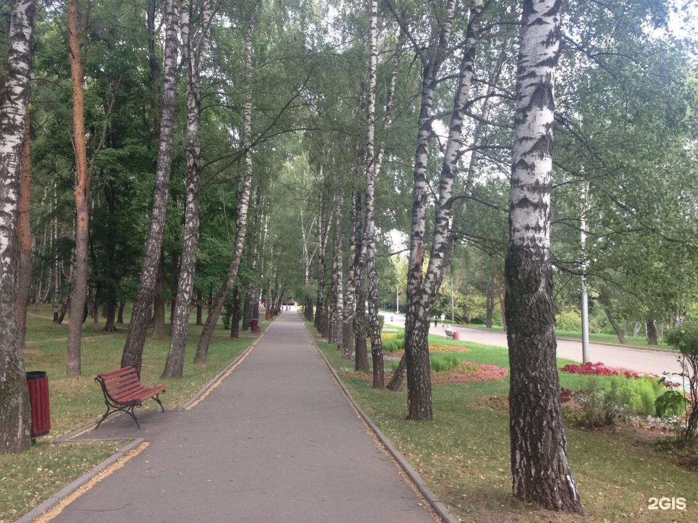 Сосенки царицыно. Парк Сосенки в Царицыно. Парк Сосенки Нахимовский проспект. Парк Сосенки во Владимире. Парк Сосенки Котловка.