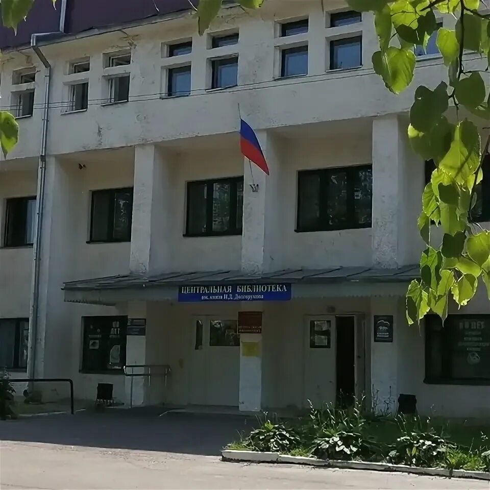 Новозыбков центральная библиотека. Библиотека новозыбков. Новозыбковская опытная станция виуа. Библиотека новозыбков. Новозыбков.