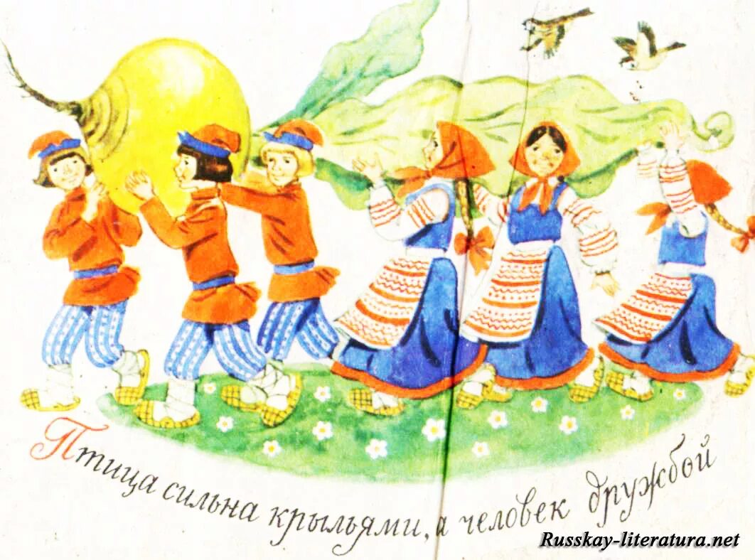 человек сова. птица человек а дружба крыльями. птица человек а дружба крыльями. пословица птица сильна крыльями а человек дружбой. птица сильна крыльями, человек — умом».