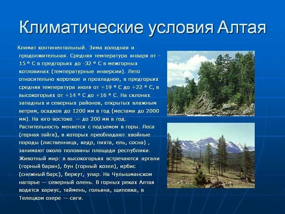 Климат Республики Алтай. Климатические условия Алтая. Климат Алтайского края. Климат горного Алтая.