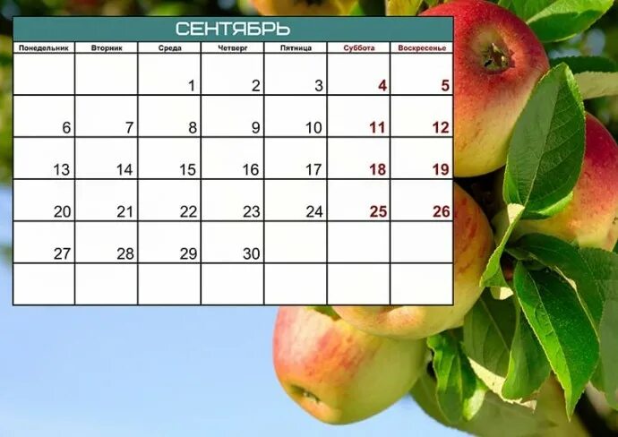 Календарь на август сентябрь 2021 года. Календарь на сентябрь 2021 года. Календарик красивый сентябрь 2021. Месяц сентябрь 2021.