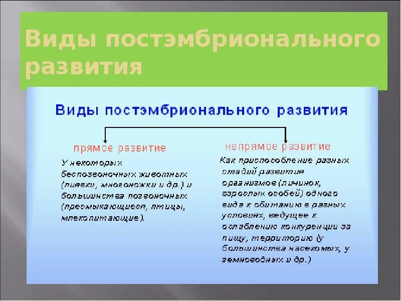 Прямой Тип постэмбрионального развития. Постэмбриональное развитие организмов схема. Постэмбриональный период онтогенеза периоды. Типы постэмбрионального периода.