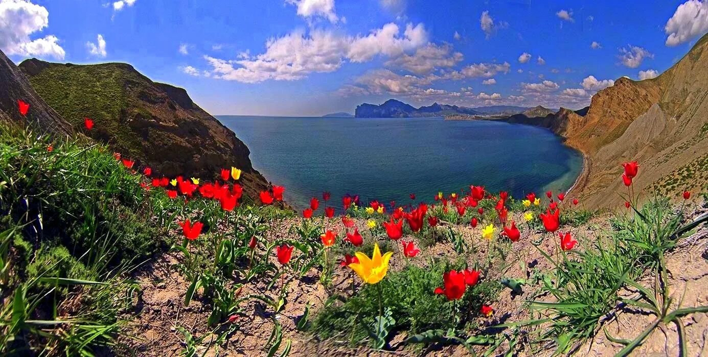 Цветочный орджоникидзе. Феодосия Орджоникидзе тюльпаны. Коктебель озеро Армутлук.