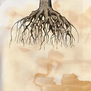 Литы и корни