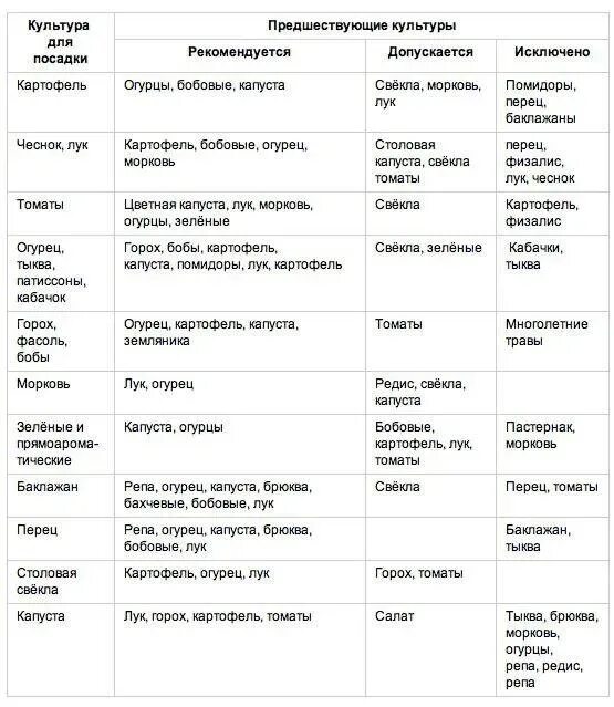 Можно ли сажать картошку после картошки. После каких культур сажать морковь. После какой культуры лучше посадить лук. Лук сажать после какой культуры. После чего лучше сажать морковь на следующий год.