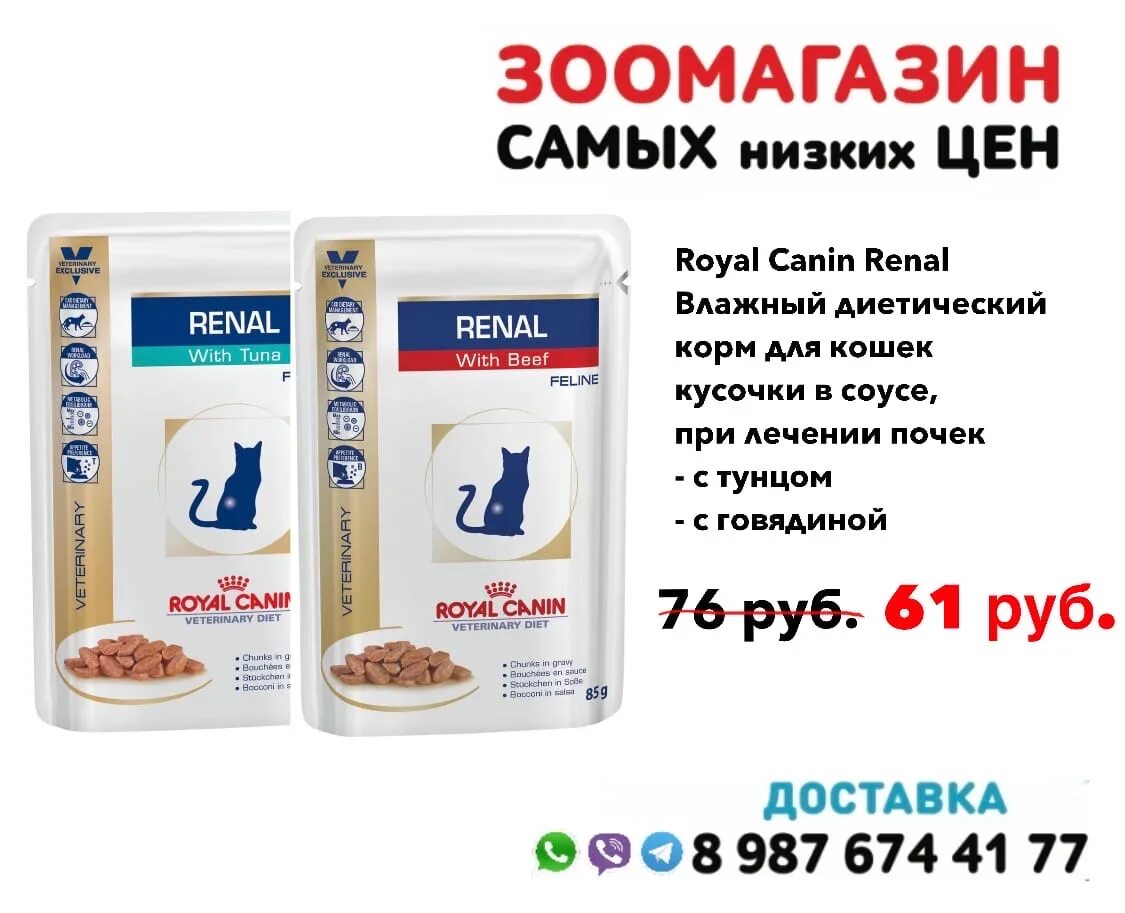 Ренал роял для кошек влажный. Royal Canin renal для кошек влажный. Роял Канин Ренал для кошек паучи. Роял Канин Ренал влажный корм для кошек. Ренал для кошек Роял Канин 500гр.