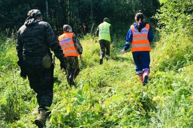 Добровольцы полиции