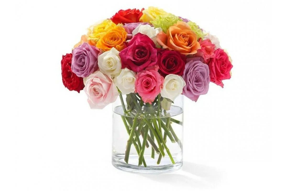 Сколько стоят цветы розы в вазе. Спрей розы микс 51шт. Цветы в вазе. Букет из разноцветных роз.