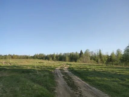 Погода в куйвози 2 на 14 дней