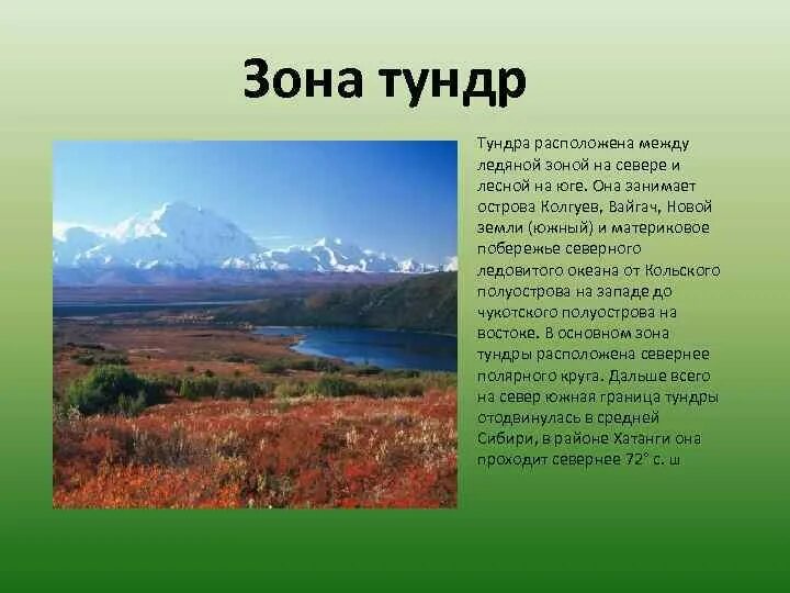 Лесная зона к югу от тундры. К югу от тундры расположена. Лесная зона расположена от зоны тундры. К югу от зоны тундр располагается зона. Зона тундр располагается на севере россии