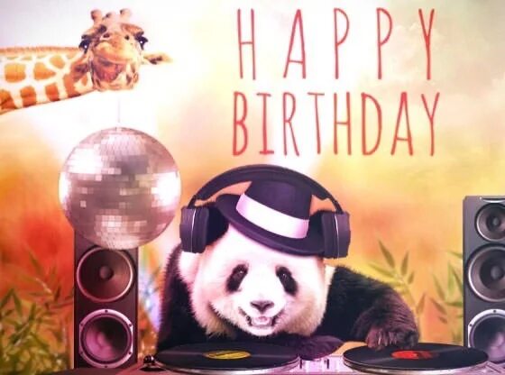 С днем рождения диджей. Поздравление с днем рождения диджею. Открытка Панда. Поздравления с днём рождения с пандой. С днем диджея картинки
