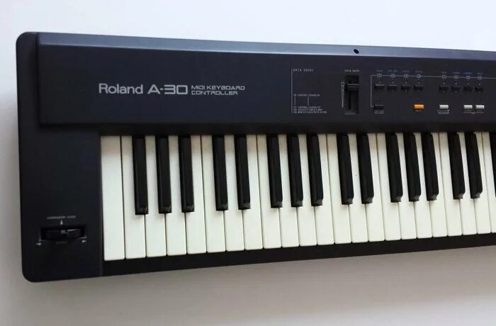 Midi 30. Roland a30. roland a-30 midi клавиатура. psr-ew310. fatar studiologic vmk 176 plus.