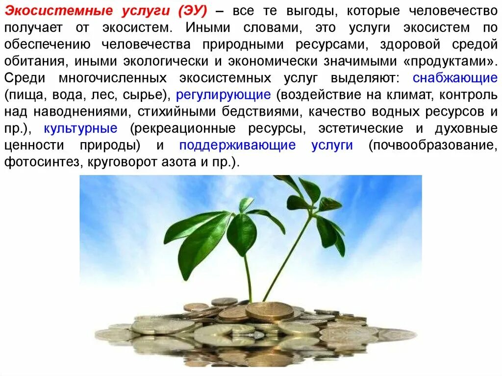 Экосистемные услуги. Классификация экосистемных услуг. Экосистема услуг. Экосистемные и экологические услуги.