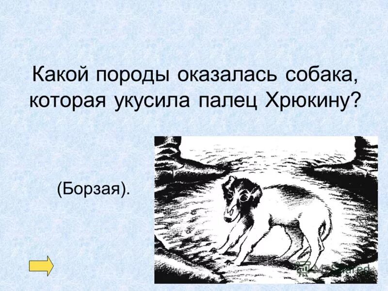 хрюкин в рассказе чехова. хамелеон а п чехов елдырин. почему хрюкин гнался за собакой. почему хрюкин гнался за собакой. почему хрюкин гнался за собакой.