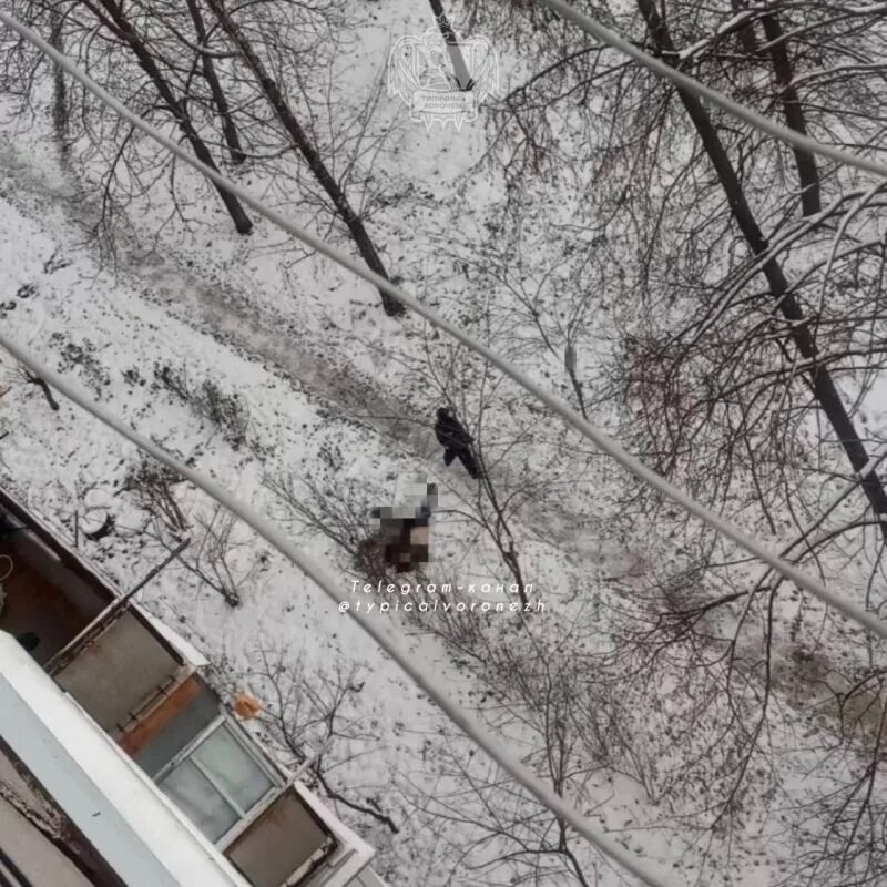 Окна самара. Упал из окна самара. Дом без окон. Упал из окна самара. Упал из окна самара.