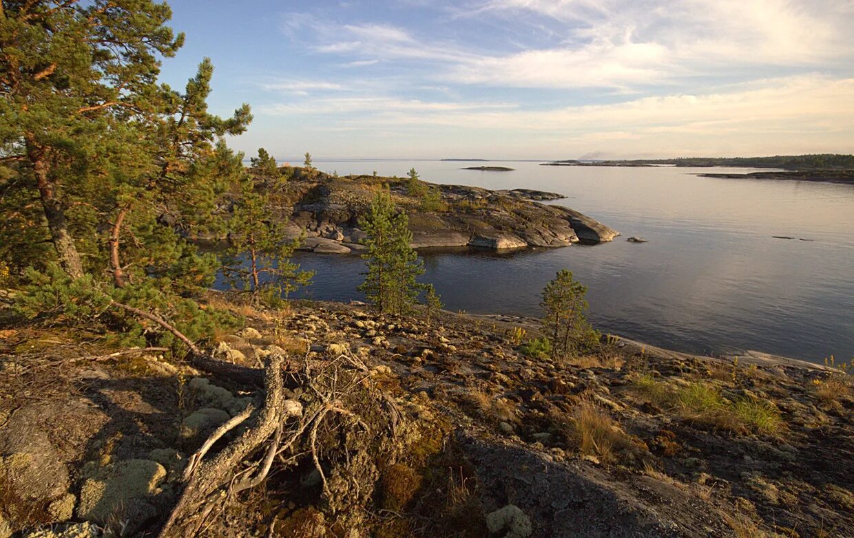 ладожский маяк коттеджный поселок. пос осиновец ладожское озеро. карелия, турбаза "лена-ладога". приозерск берег ладожского озера. деревня коккорево ладожское озеро.