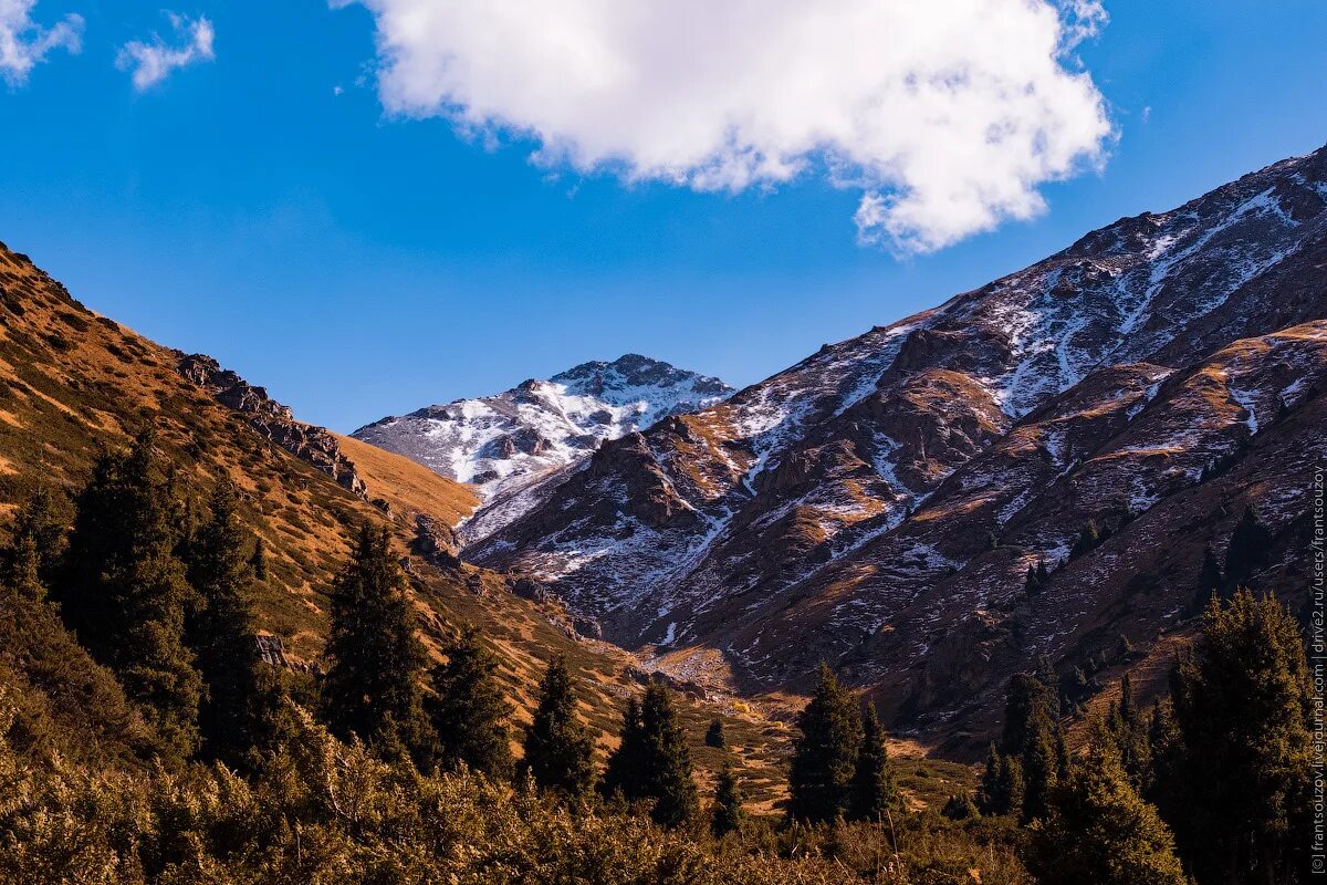 Поселок ак тюз кеминского района. Ущелье кичи кемин. Ак тюз. Ущелье ак тюз. Ущелье ак тюз.