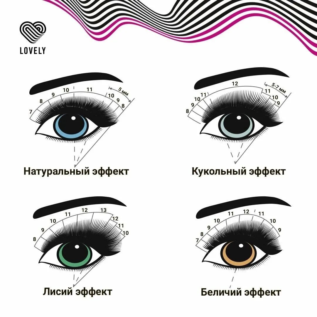 Кукольный эффект длина. Беличий эффект наращивание ресниц схема. беличий эффект наращивание схема. лисий эффект наращивания классика схема. эффект кукла наращивание ресниц схема.