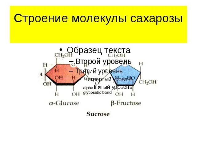 Сахароза Геншин. Сахароза Геншин Импакт выпадение. Сахароза Геншин Импакт в полный рост. Сахароза Геншин в полный рост. Геншин алхимический прорыв экзамен сахарозы