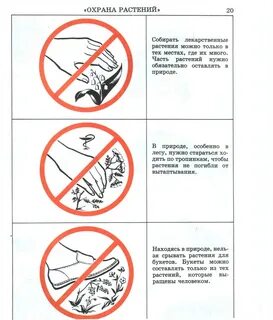 Условные знаки на лугу 4 класс