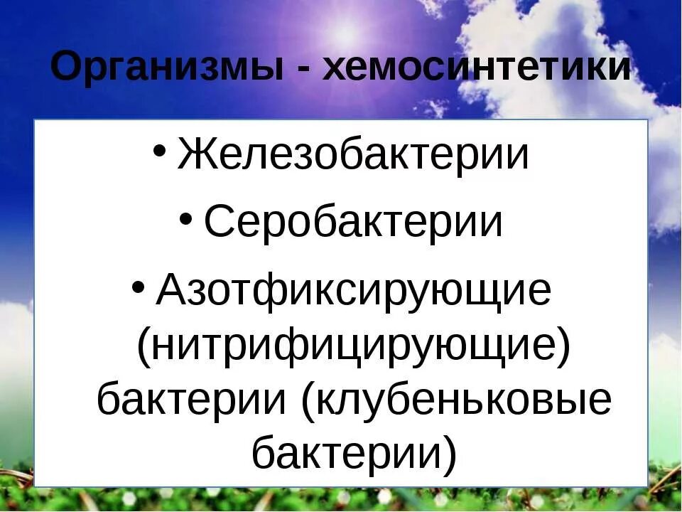 Хемосинтетики. Азотфиксирующие хемосинтетики. Хемосинтетики примеры организмов. В качестве источника энергии бактерии-хемосинтетики используют…. Хемосинтетики примеры организмов.