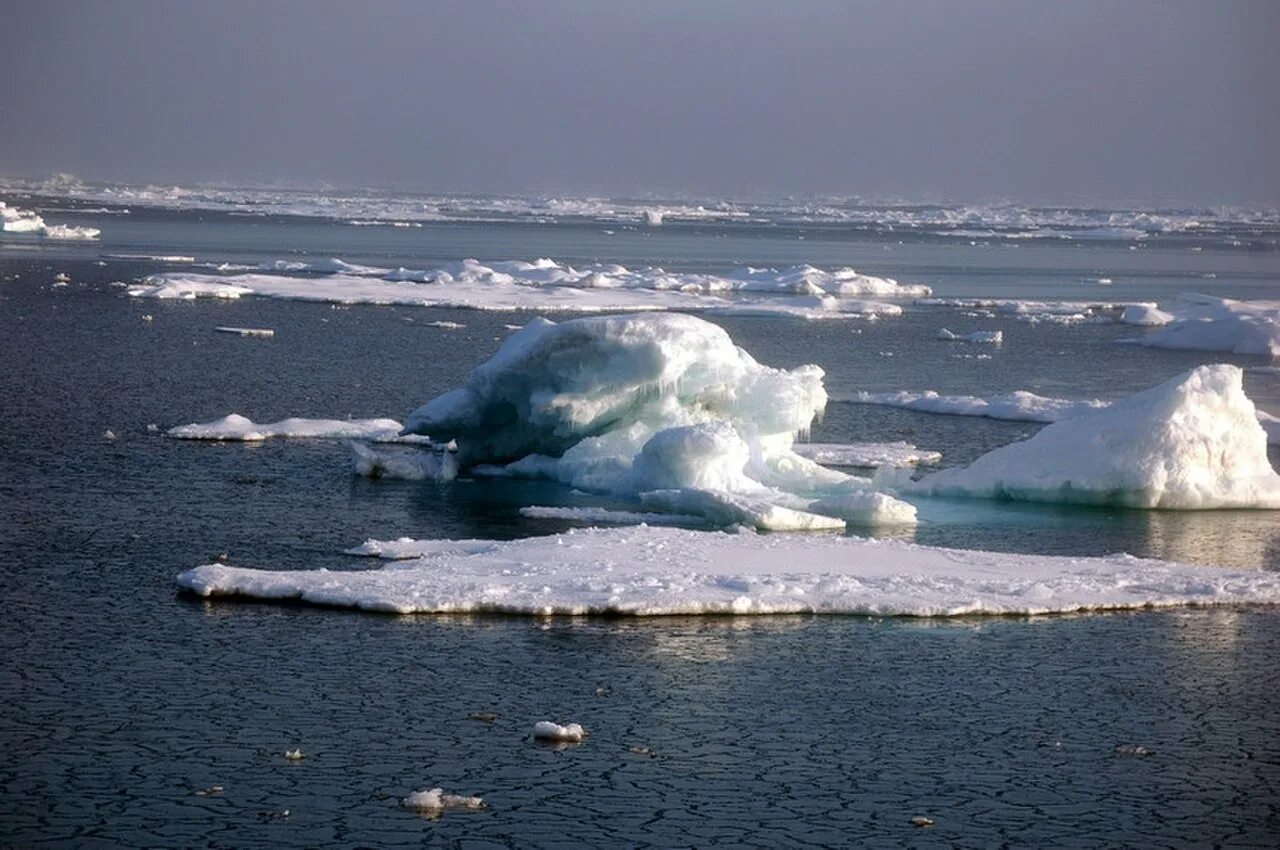 Северный Ледовитый океан Восточно-Сибирское море. Моря Восточно Сибирское Карское. Чукотское море Северный Ледовитый океан. Восточносибирсое море.