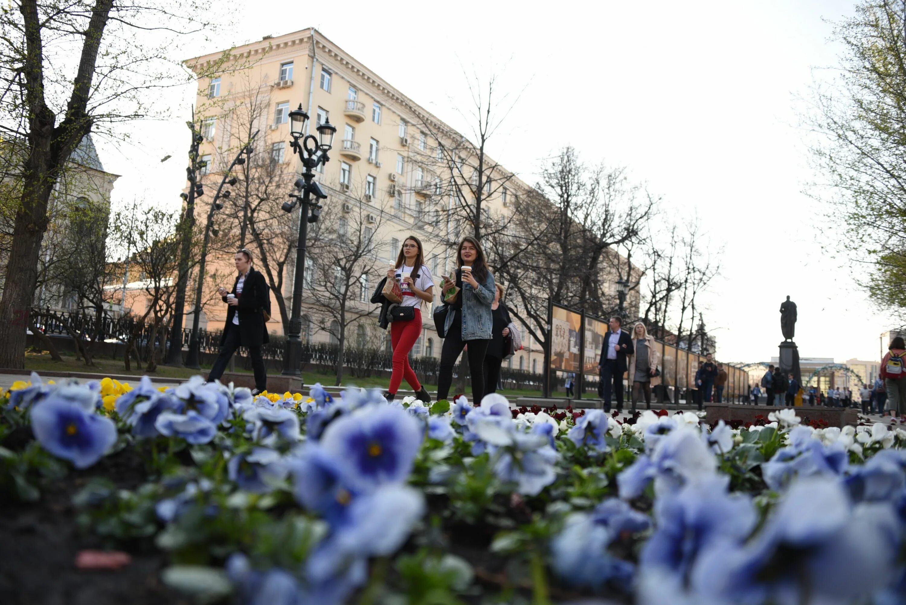 Апрель в городе. Ветер г москва