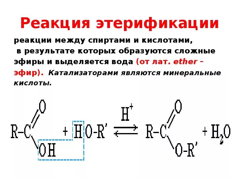 Реакцией этерификации называется взаимодействие спирта с. Реакция этерификации сложных эфиров. Жиры реакция этерификации. Этерификация спиртов. Сложные реакции этерификации эфиры реакция.