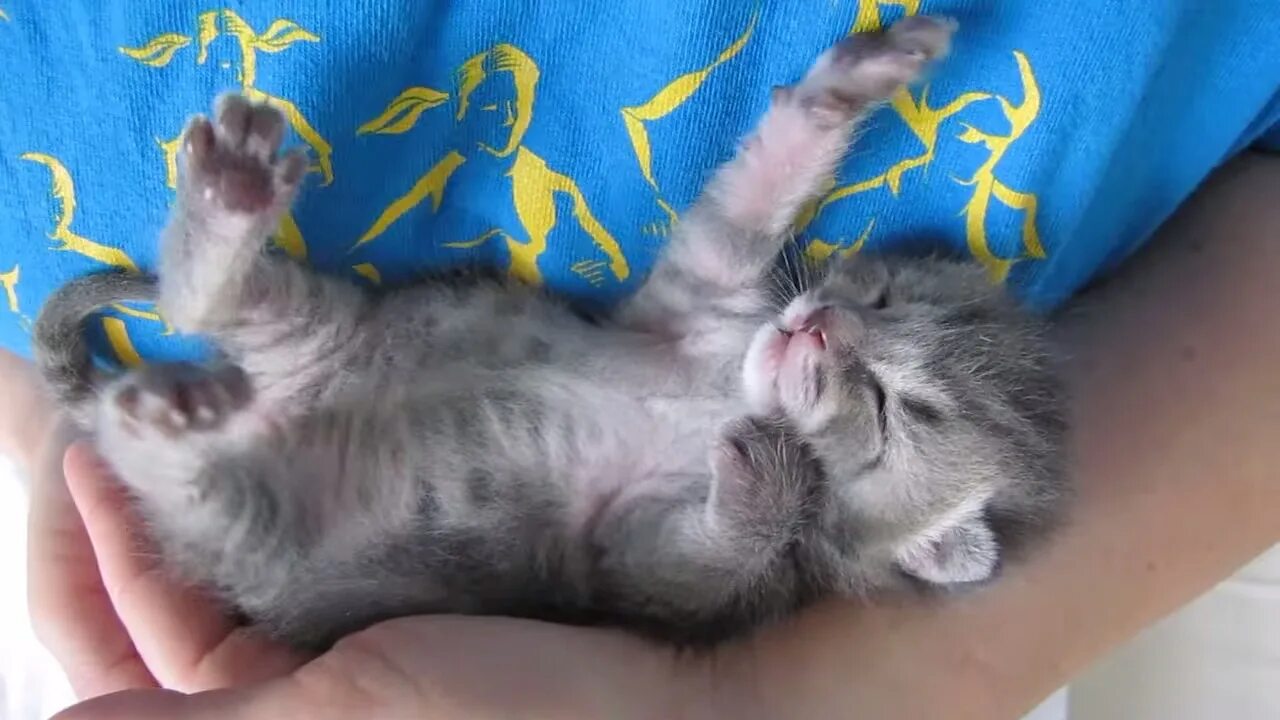 видео 3 недели