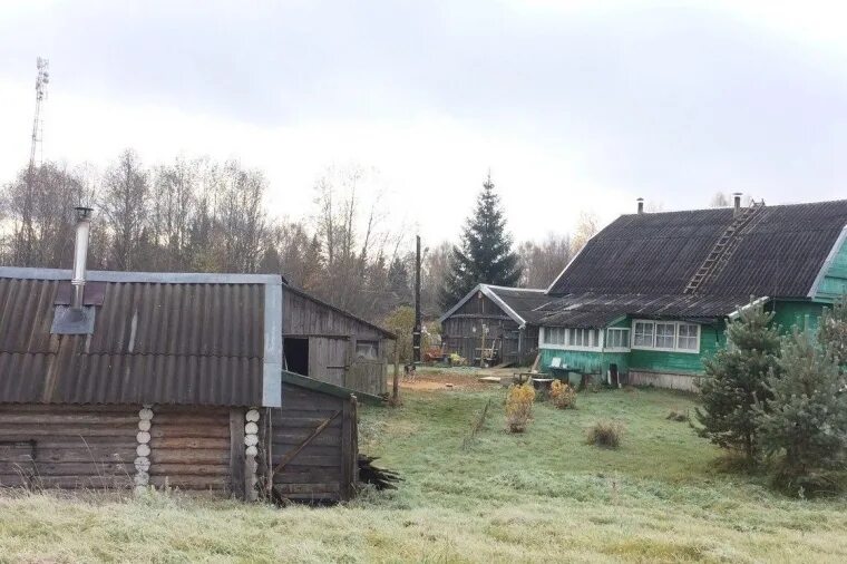 Объявления на авито в бологое. Бологое, бологое, улица кирова. Бологое улица дзержинского 3 а. Апартаменты город бологое. Березайка бологовский район ул.