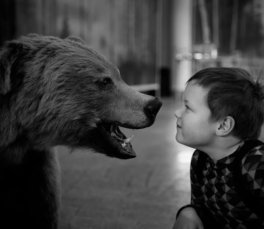 Добрые поступки. Грустные поступки. Храбрость для детей. Грустные поступки. Доброта картинки.