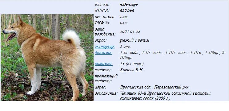 Топ ркф