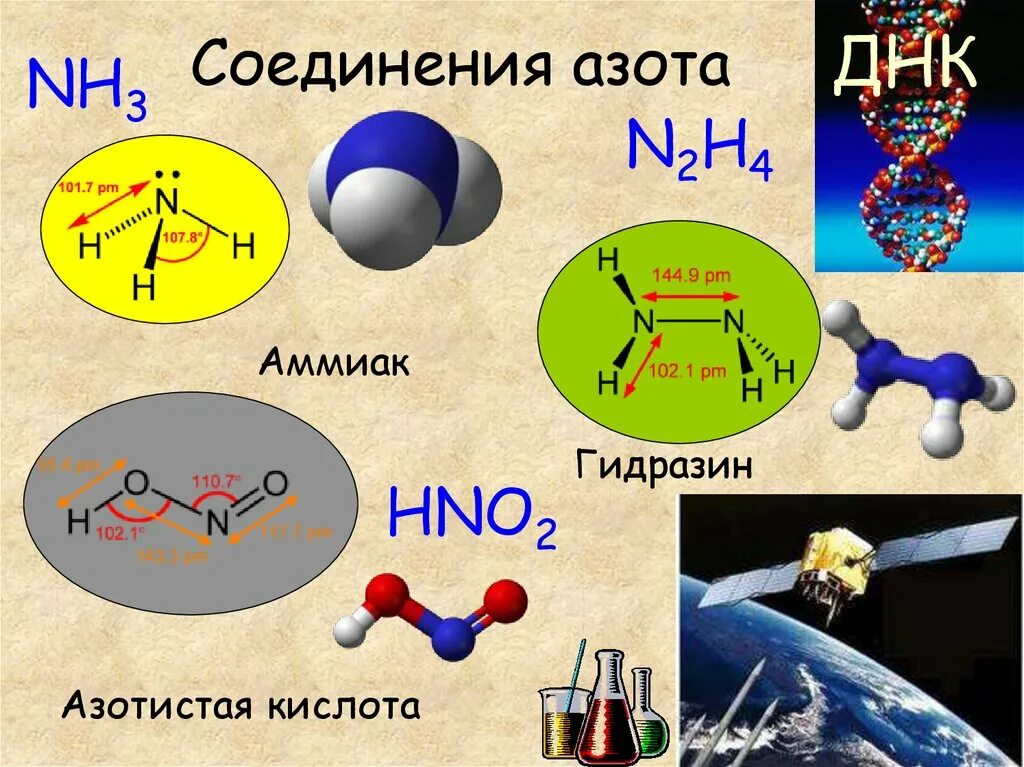 Значение и соединение азота